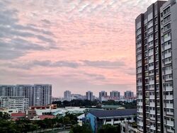 Blk 451B West Terra @ Bukit Batok (Bukit Batok), HDB 5 Rooms #565952201